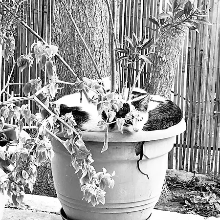 Apartamento Ecocasa Neapolis